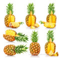 Pineapple Vacuum Freeze Drying Powder (NAT-A-02)